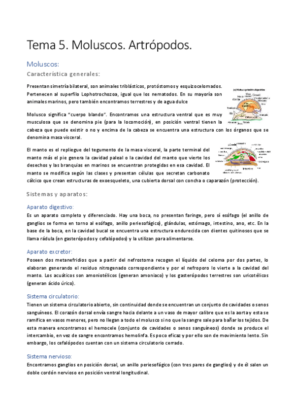 Miniatura del documento Tema-5.pdf