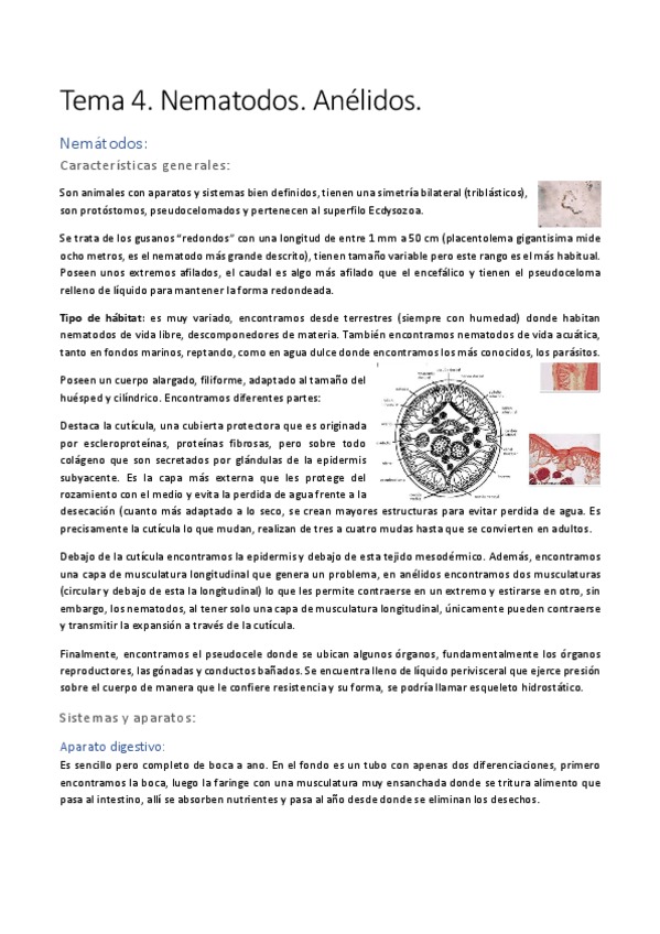 Miniatura del documento Tema-4.pdf