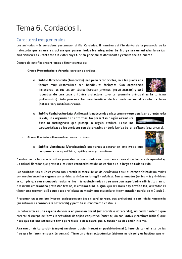Miniatura del documento Tema-6.pdf