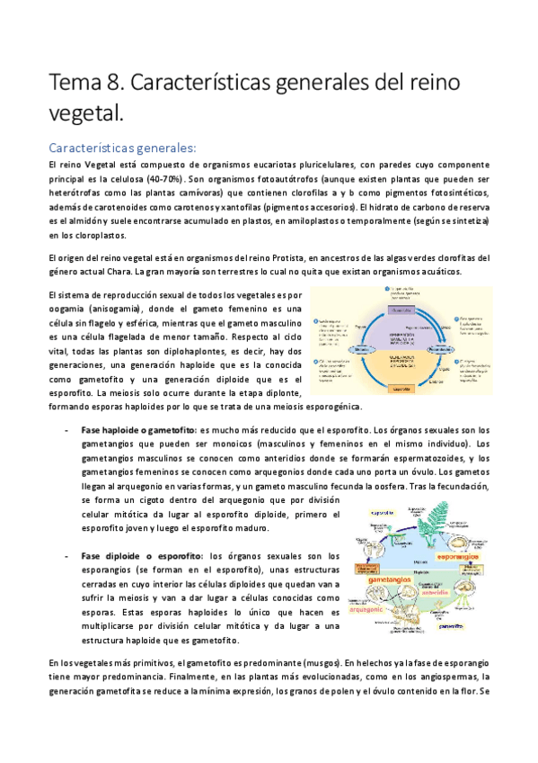 Miniatura del documento Tema-8.pdf
