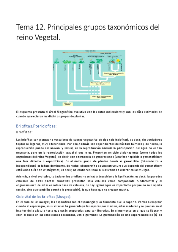 Miniatura del documento Tema-12.pdf