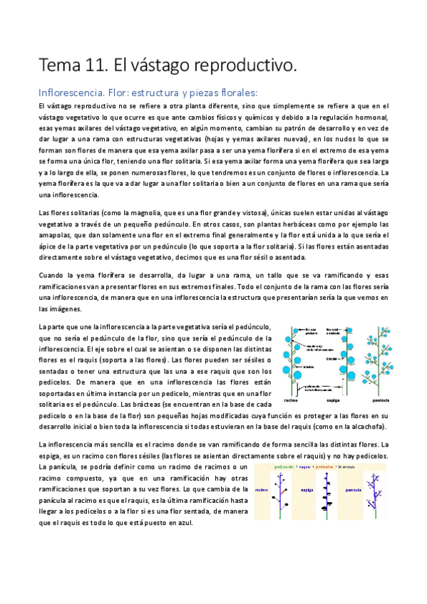 Miniatura del documento Tema-11.pdf