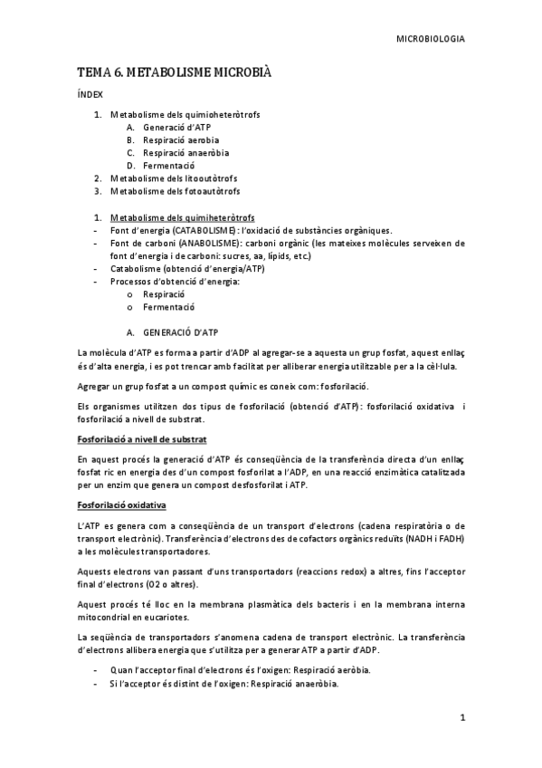 Miniatura del documento Tema-6-MICRO.pdf