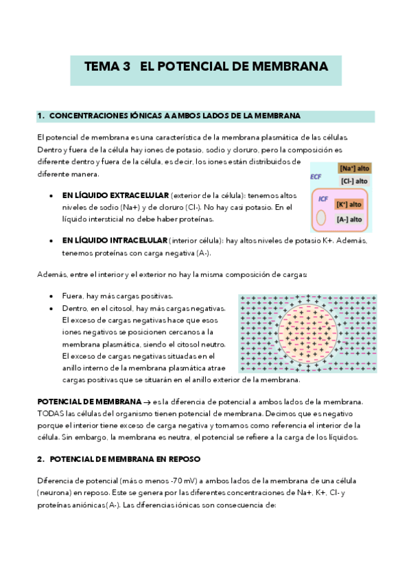 Miniatura del documento TEMA-3-fisiologia.pdf