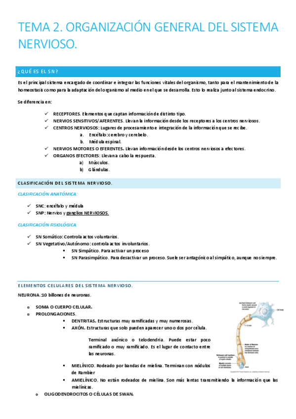 Miniatura del documento TEMA-2.pdf