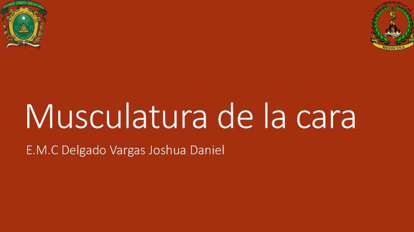 Miniatura del documento Musculatura-de-la-cara-v3.pdf