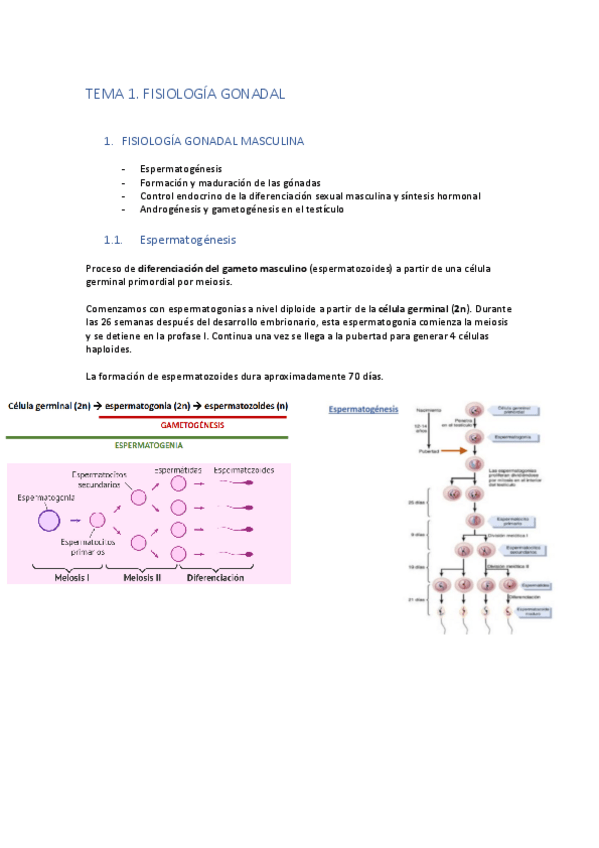 Miniatura del documento Tema-1.pdf