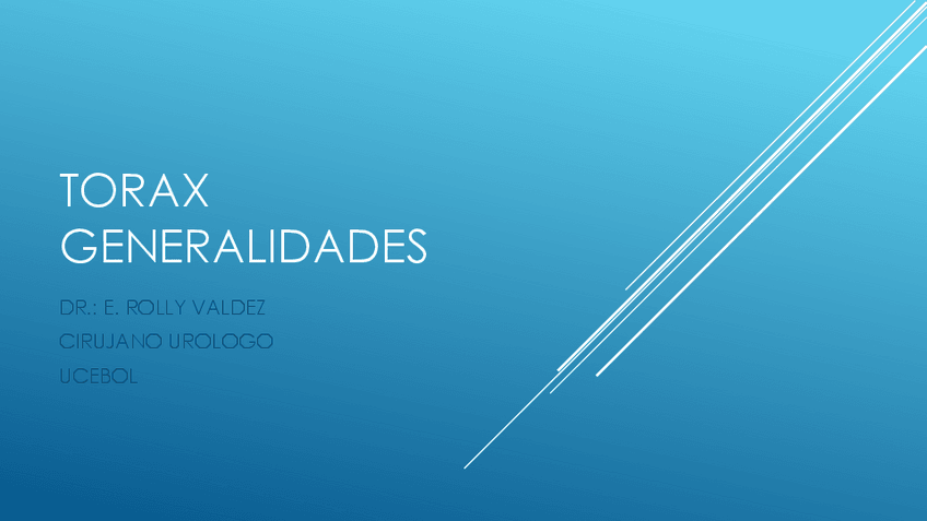 Miniatura del documento TORAX-GeneRAL.pdf