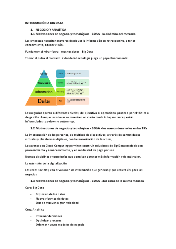 Miniatura del documento INTRODUCCION-A-BIG-DATA.pdf
