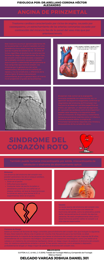 Miniatura del documento DELGADO-VARGAS-JOSHUA-DANIEL-301-Sindromes-Cardiacos.pdf