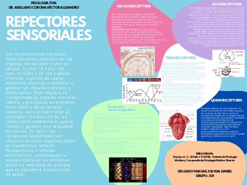 Miniatura del documento DELGADO-VARGAS-JOAHUA-DANIEL-301-Receptores-Sensoriales.pdf