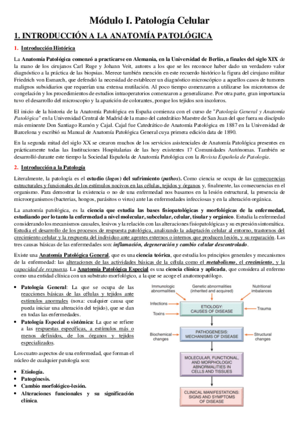 Miniatura del documento APUNTES-1er-CUATRI.pdf