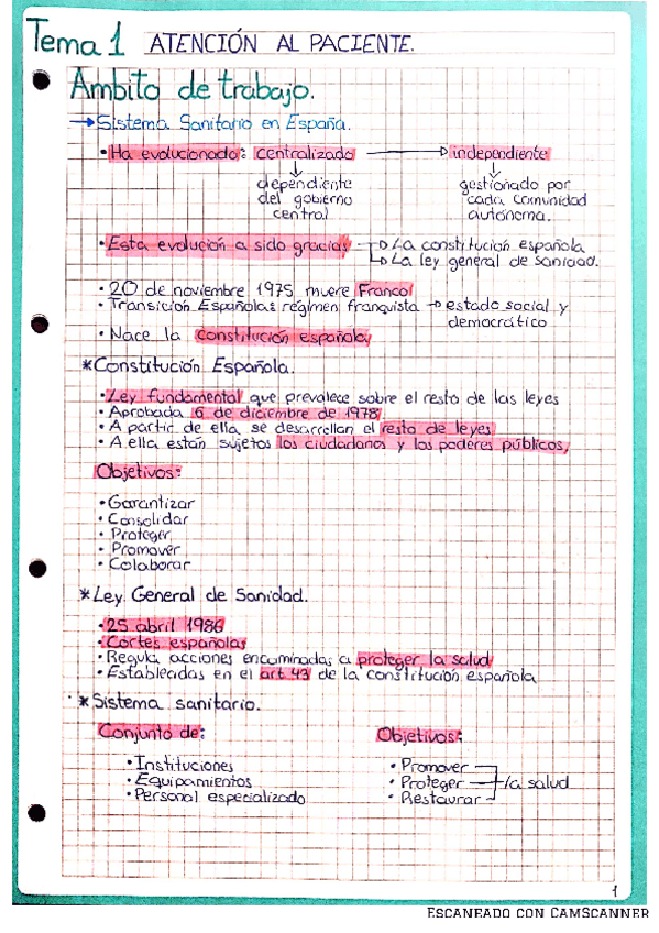 Miniatura del documento TEMA-1.pdf