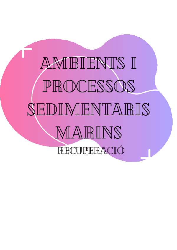 Miniatura del documento AMBIENTS-I-PROCESSOS-SEDIMENTARIS-MARINS-3.pdf