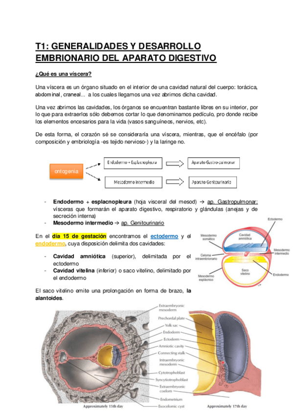 Miniatura del documento T1-EMB-GENERAL-Y-AP-DIGESTIVO.pdf