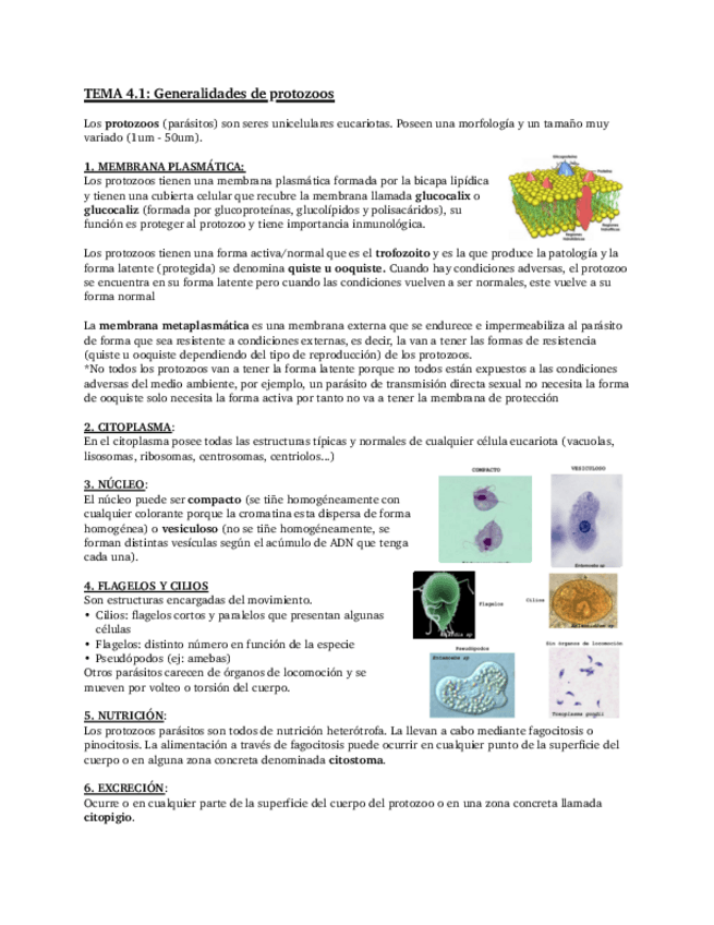 Miniatura del documento Tema-4.pdf