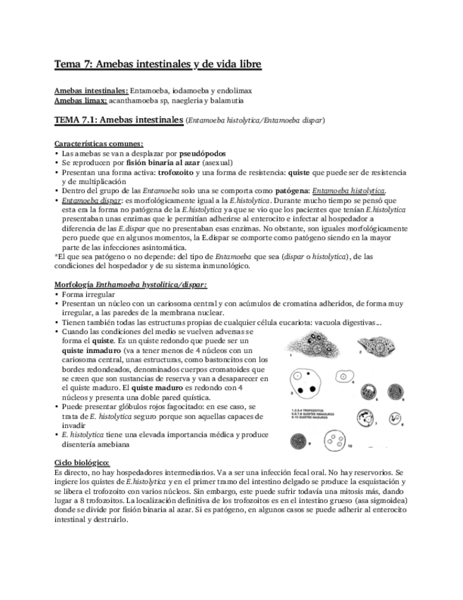 Miniatura del documento Tema-7-Amebas.pdf