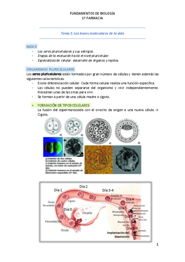 Miniatura del documento Tema-2.pdf