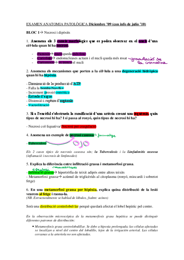 Miniatura del documento Examen-2009.pdf