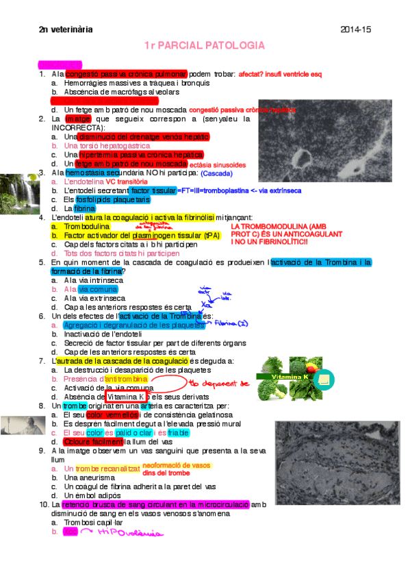 Miniatura del documento Examen-pato-1r-pacial-2014-15.pdf