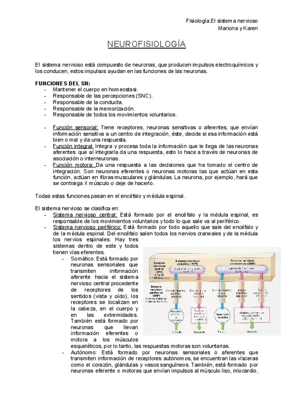 Miniatura del documento P.pdf