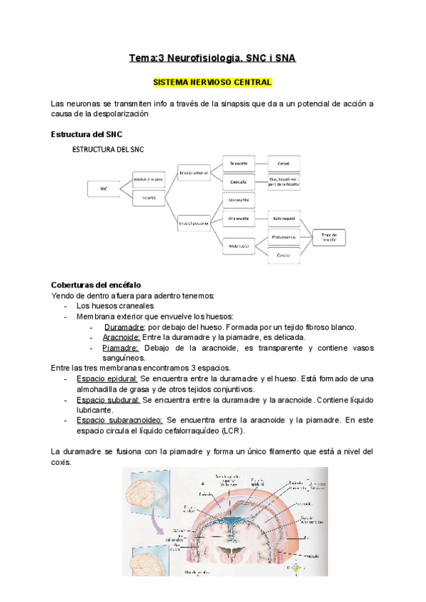 Miniatura del documento P3.pdf