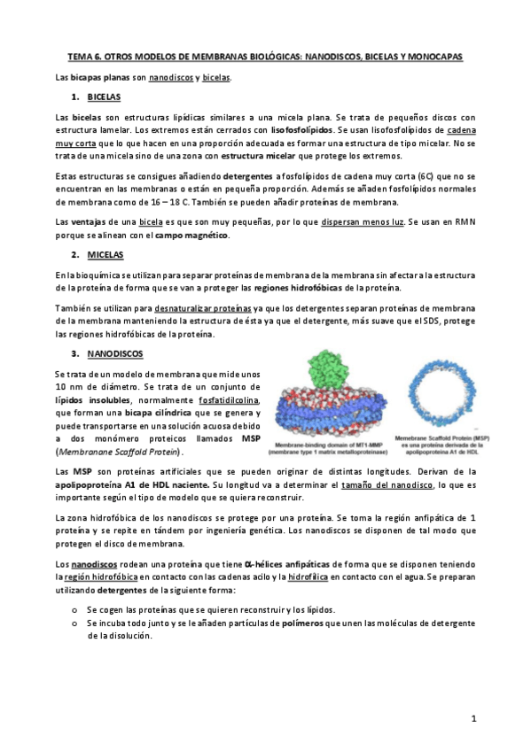 Miniatura del documento TEMA-6.pdf