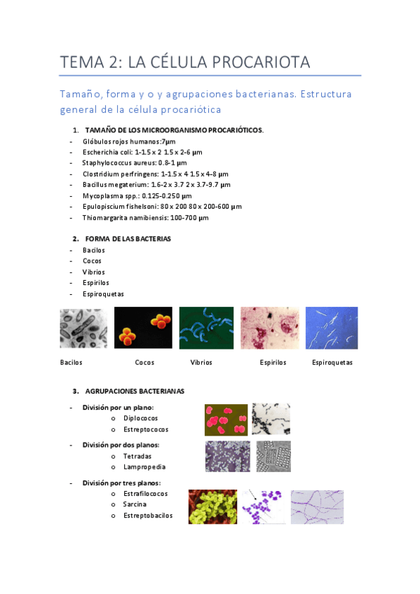 Miniatura del documento TEMA-2PROYEU.pdf