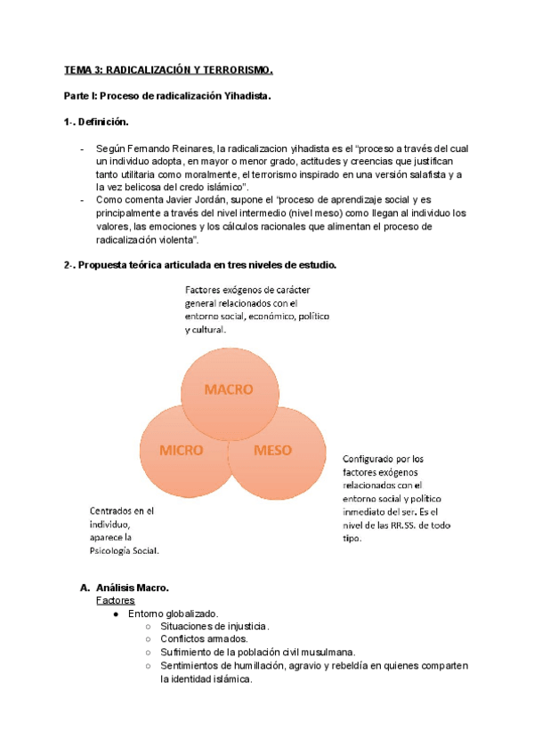 Miniatura del documento TEMA-3-RADICALIZACION-Y-TERRORISMO.pdf