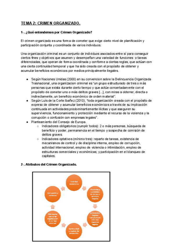 Miniatura del documento TEMA-2-CRIMEN-ORGANIZADO.pdf