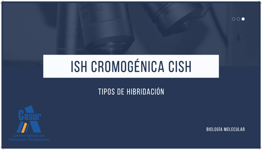 Miniatura del documento ISH-Cromogenica-CISH.pdf