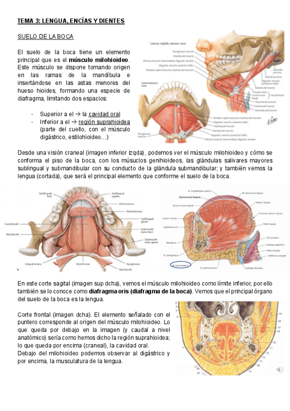 Miniatura del documento 3.pdf