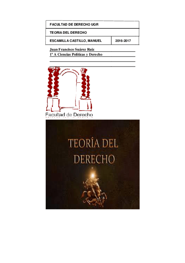 Miniatura del documento TEORIA DEL DERECHO APUNTES.pdf
