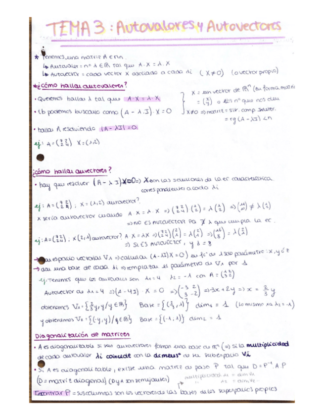 Miniatura del documento Tema-3-resumen-.pdf