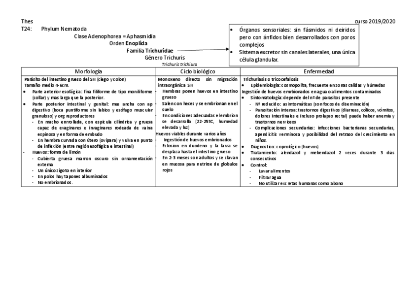 Miniatura del documento Nematodos-cuadro-resumen.pdf
