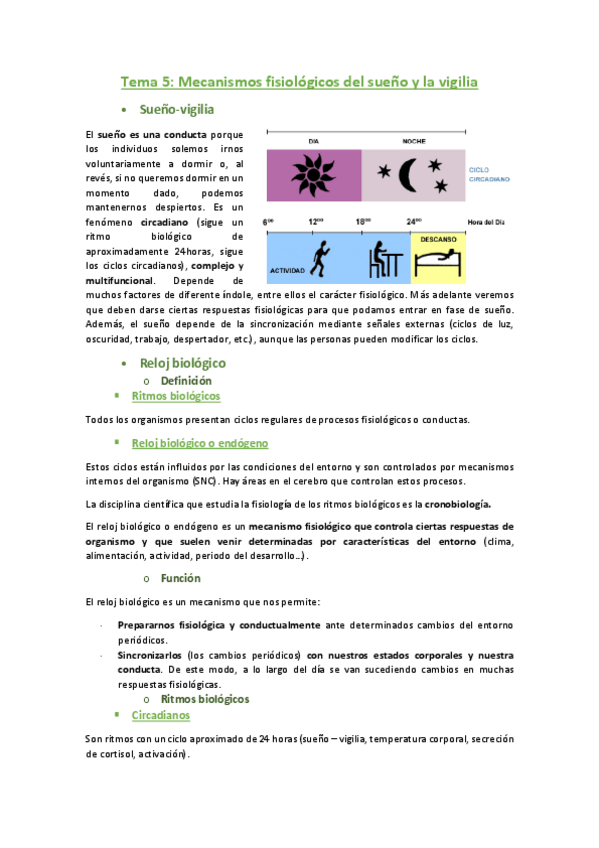 Miniatura del documento 5.pdf