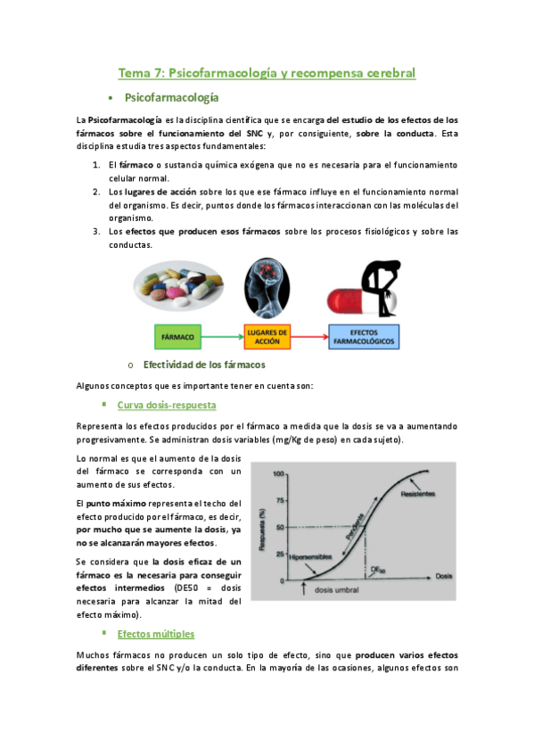 Miniatura del documento 7.pdf