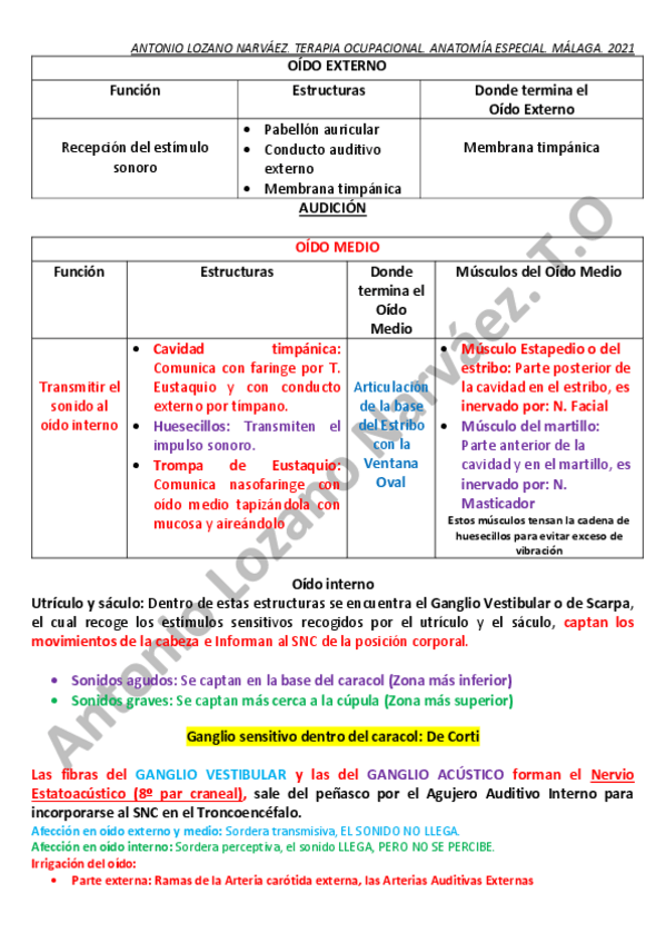 Miniatura del documento Sistema-nervioso.pdf