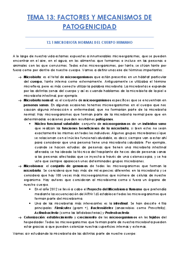 Miniatura del documento TEMA-13.pdf