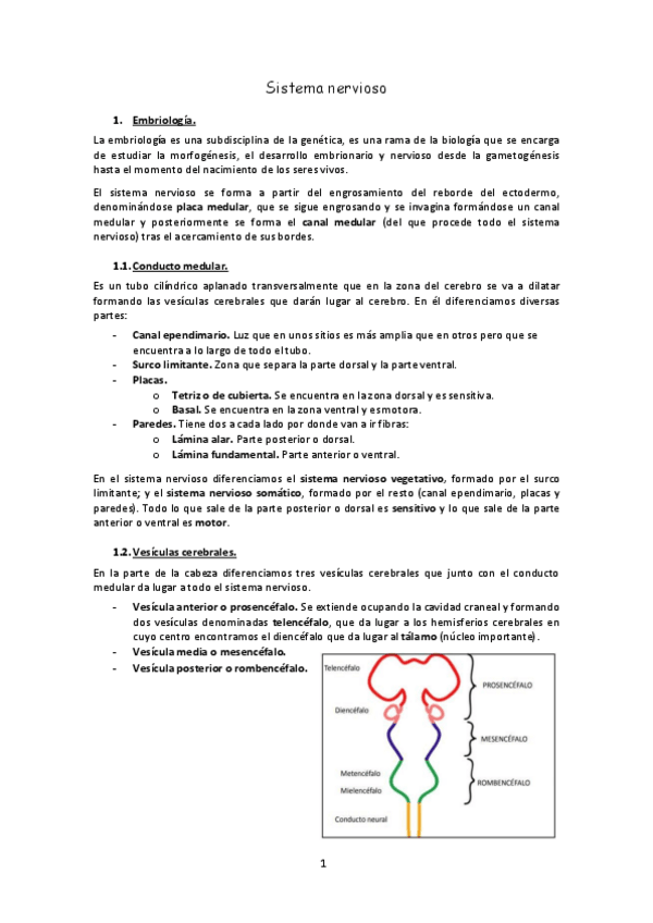 Miniatura del documento Sistema-nervioso.pdf
