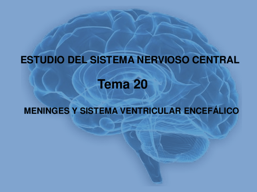 Miniatura del documento Tema-20.pdf