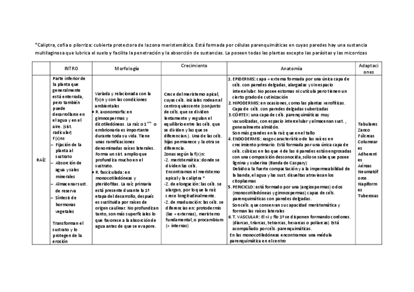 Miniatura del documento Raiz-tallo-Hoja.pdf