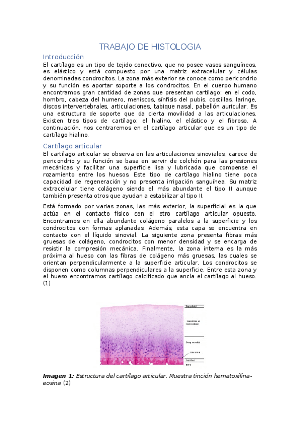 Miniatura del documento TRABAJO-DE-HISTOLOGIA.docx