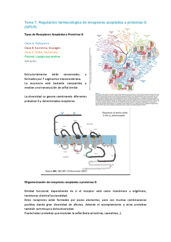 Miniatura del documento Tema 7 FM.pdf