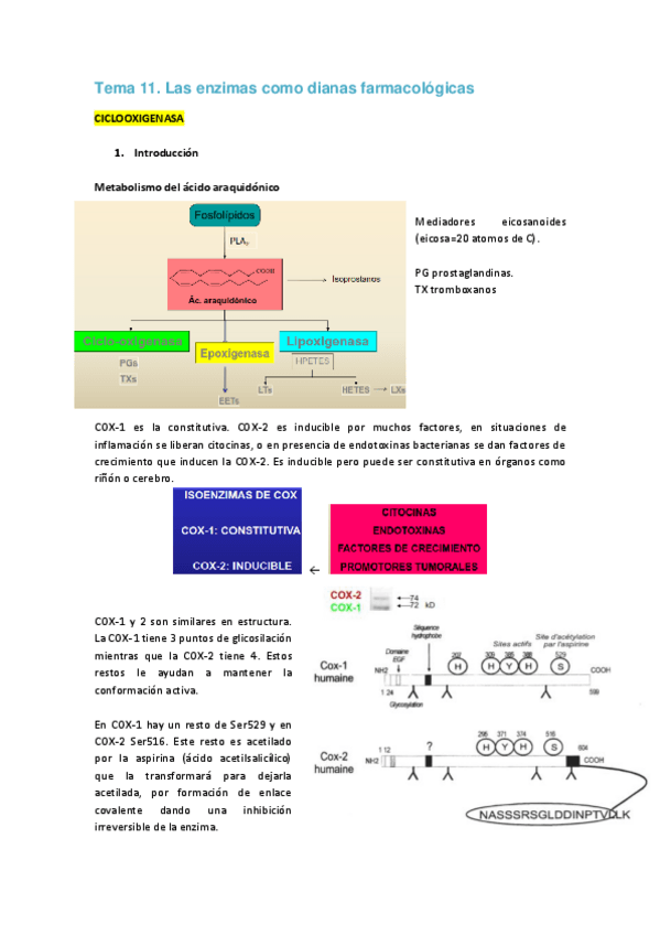 Miniatura del documento Tema 11 FM.pdf