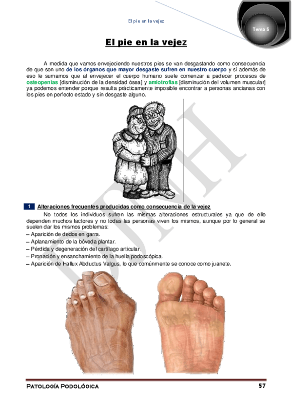 Miniatura del documento 5.pdf