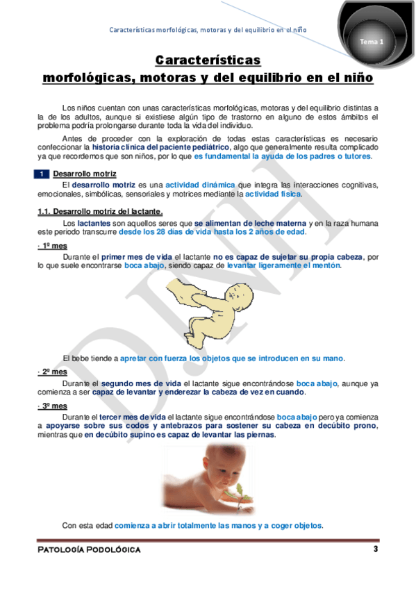 Miniatura del documento 1.pdf