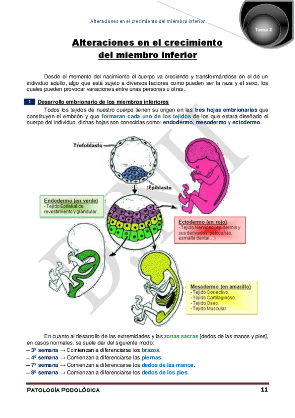 Miniatura del documento 2.pdf