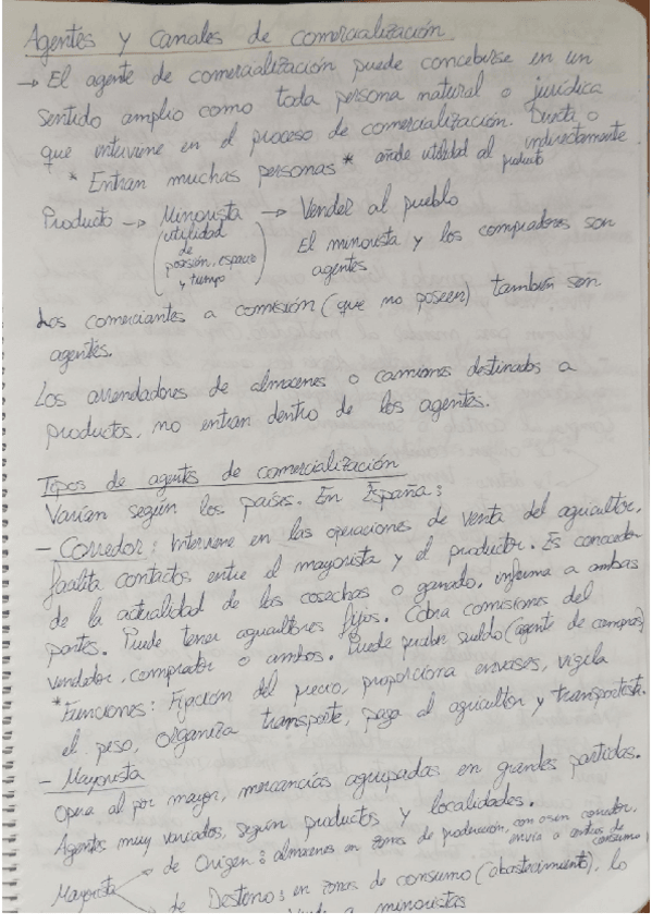 Miniatura del documento APUNTES-COMERCIALIZACION.pdf