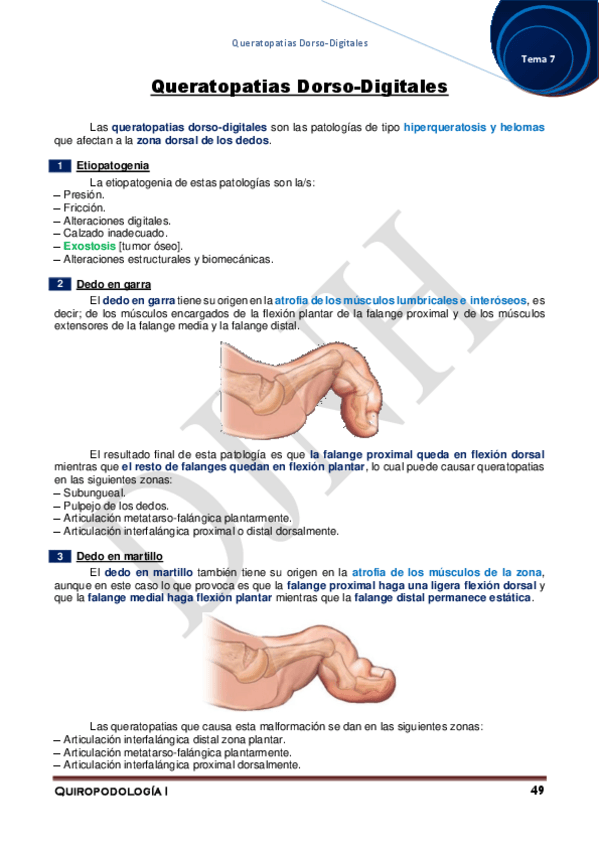 Miniatura del documento 7.pdf